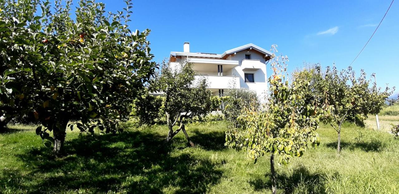 Villa Al Settimo Miglio, Alloggio Agrituristico à Treppo Grande Extérieur photo